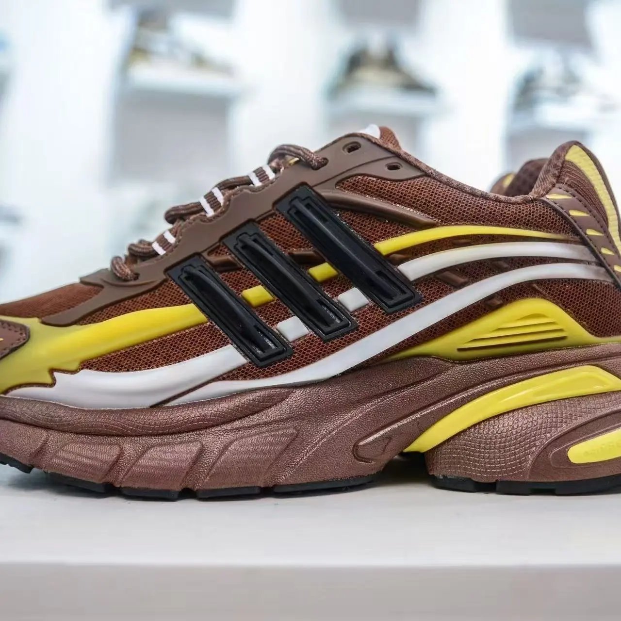 10-PW x adida