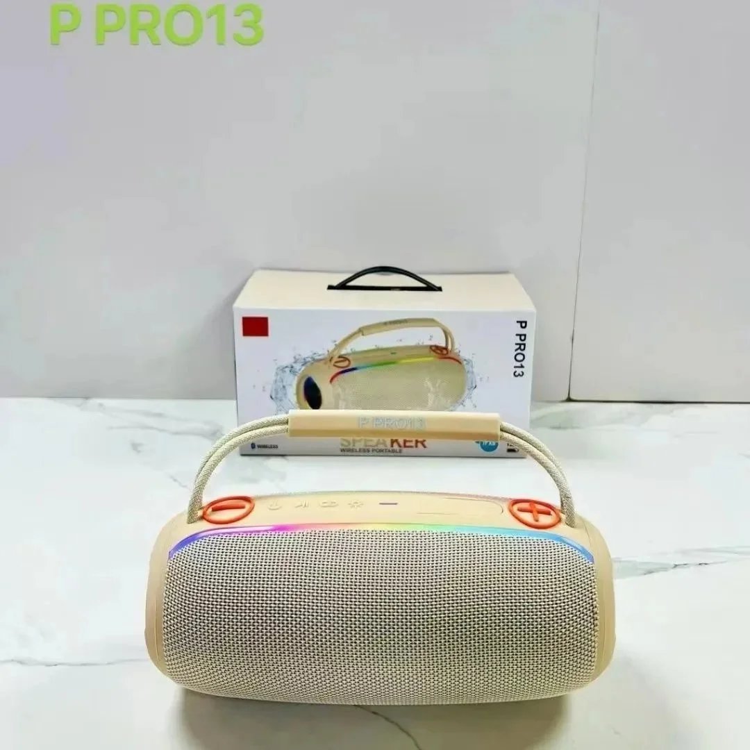 P Pro13  白