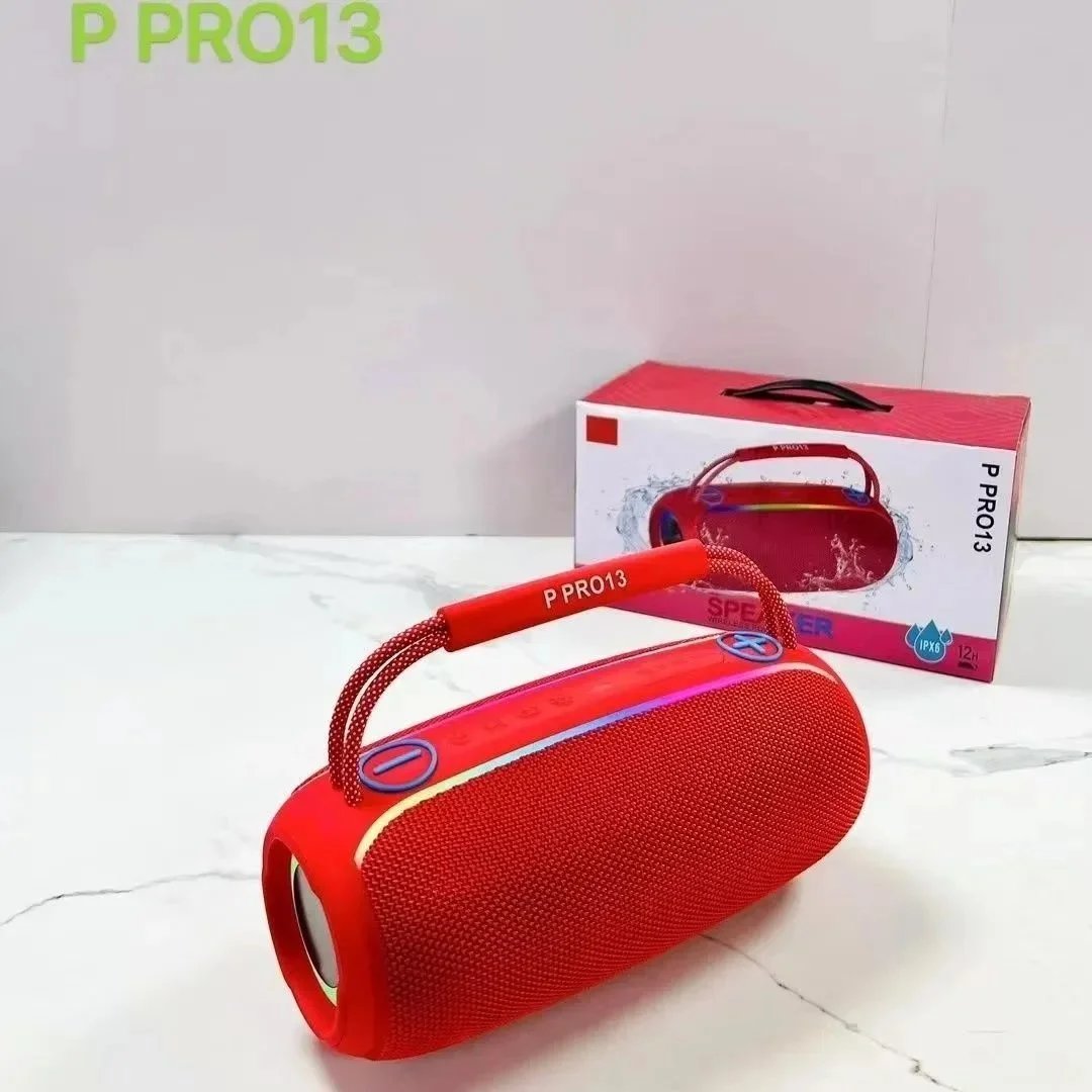 P Pro13  红