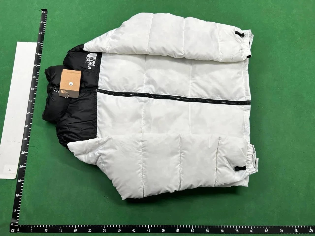 TNF02