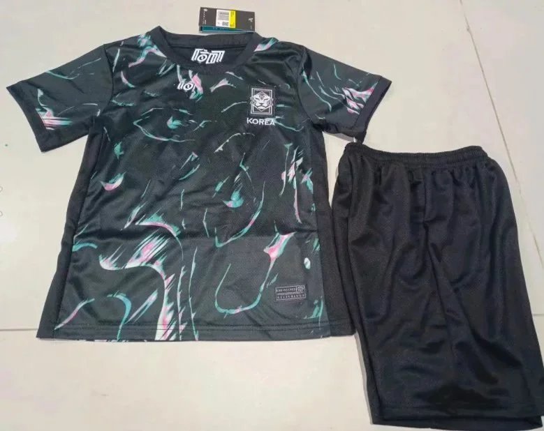 24–25 South Korea away game