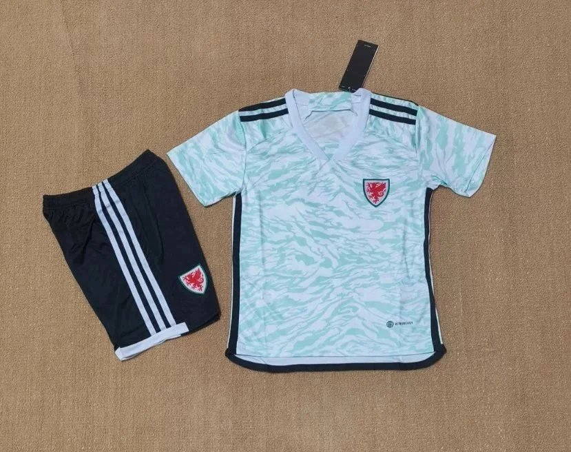 24-25 Wales away