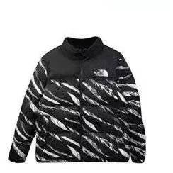 Black Zebra