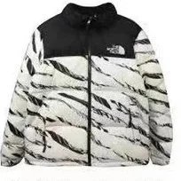 White zebra