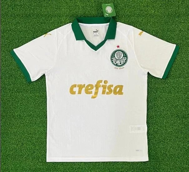 24-25 Palmeiras away game