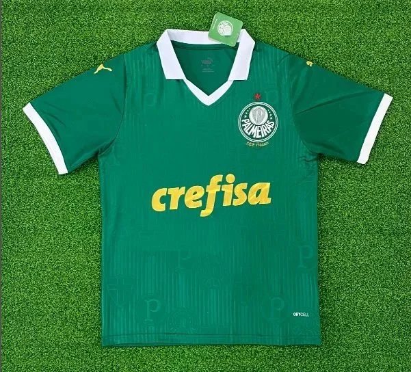 24-25 Palmeiras home game