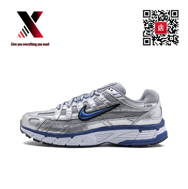 BV1021-001 silver blue