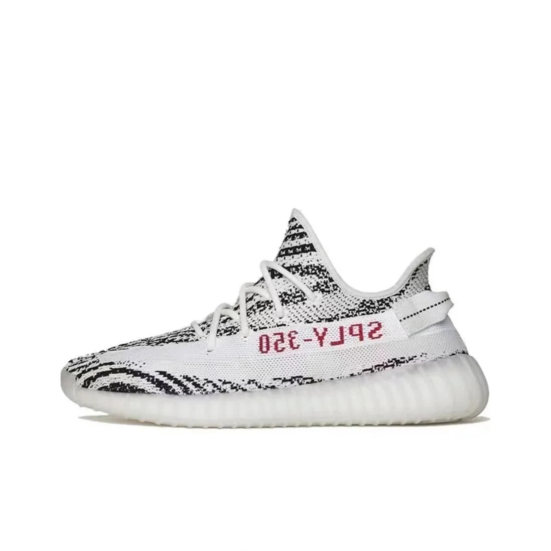 White zebra