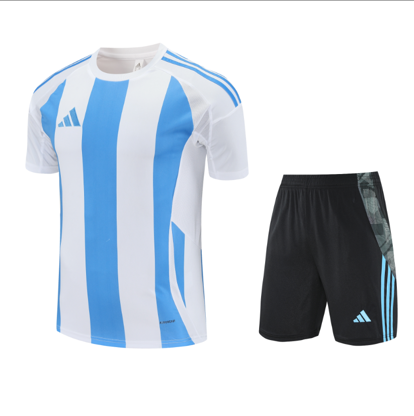 16 Blue and White 006