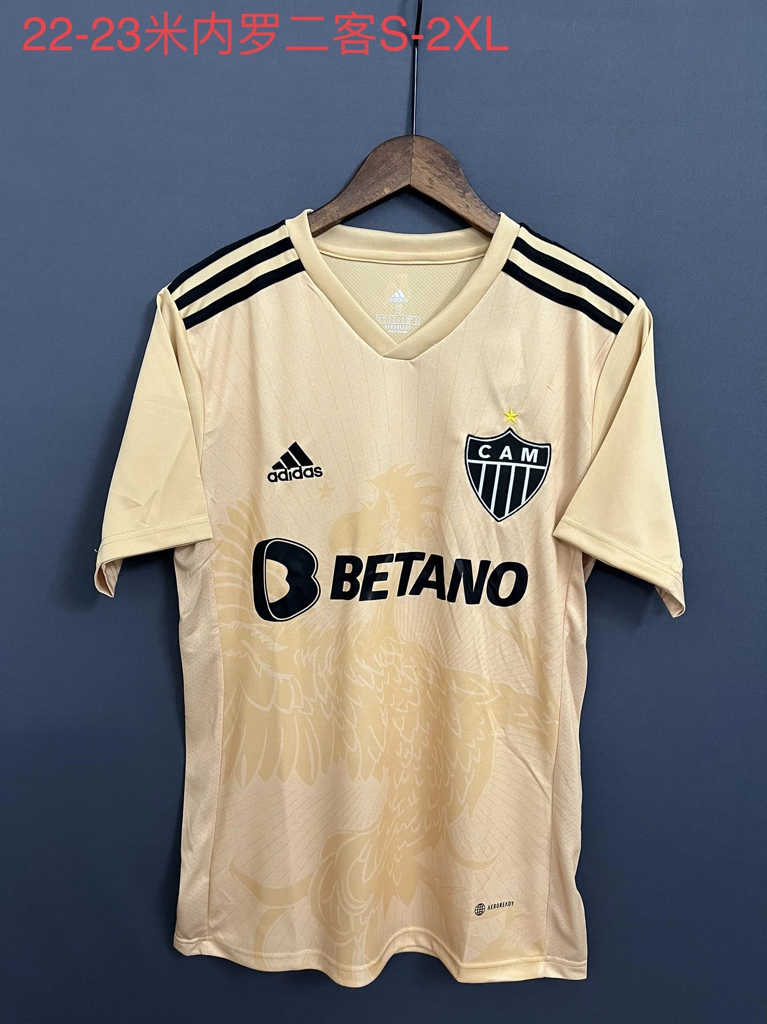 21 Beige 006