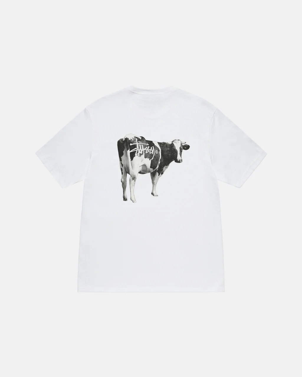 37 white