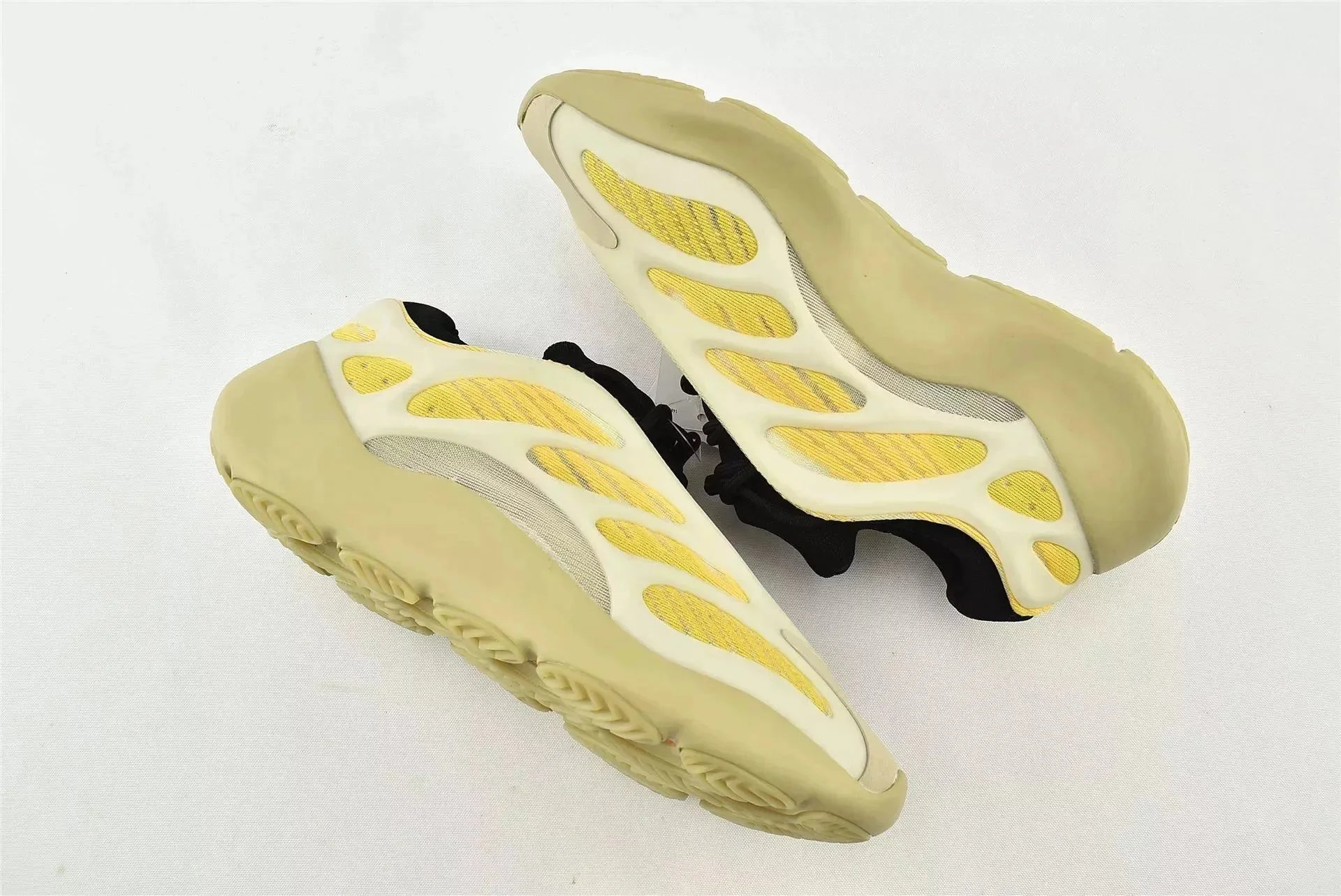 700 V 3 Sunflower seed