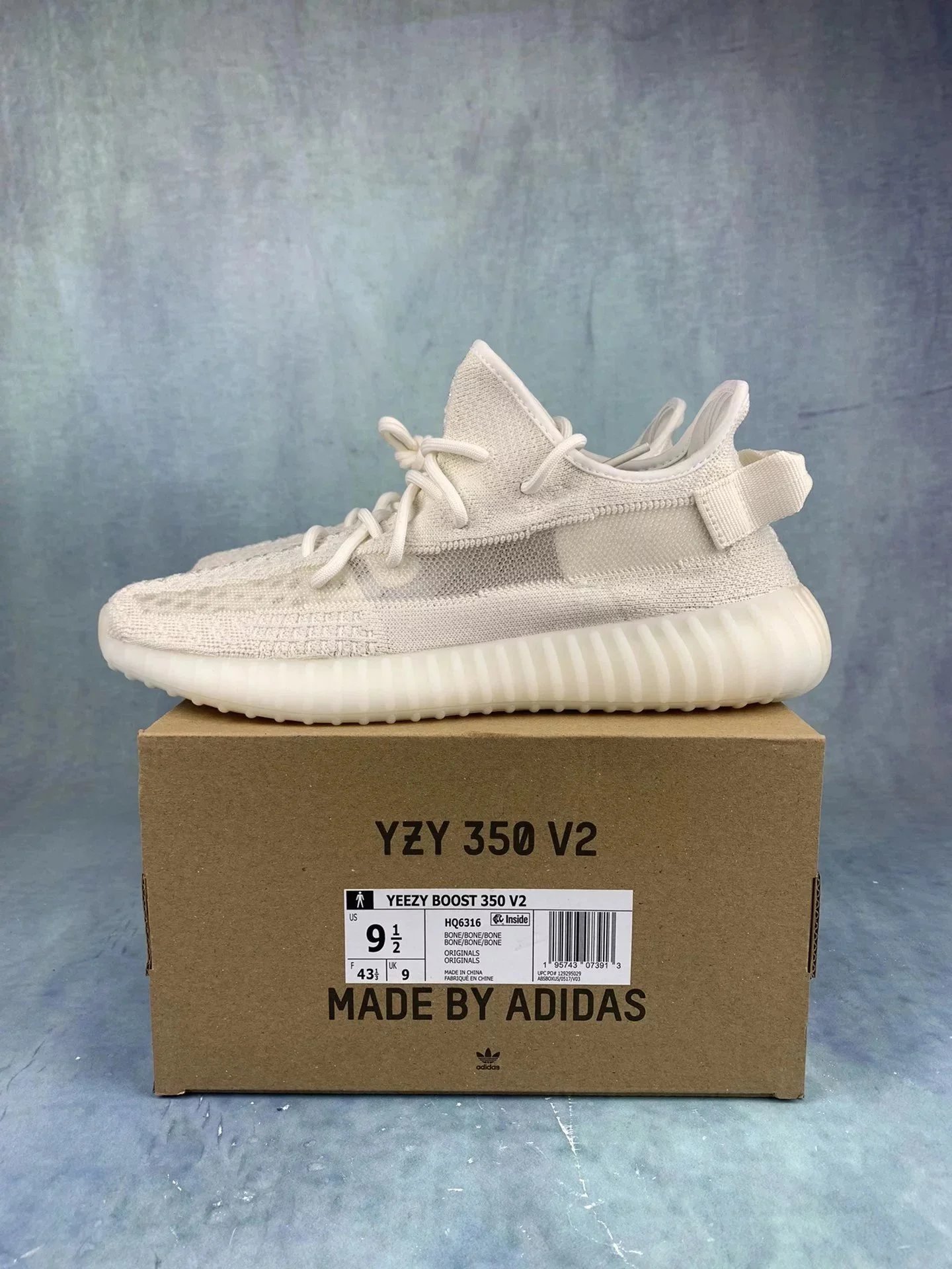 HQ6316