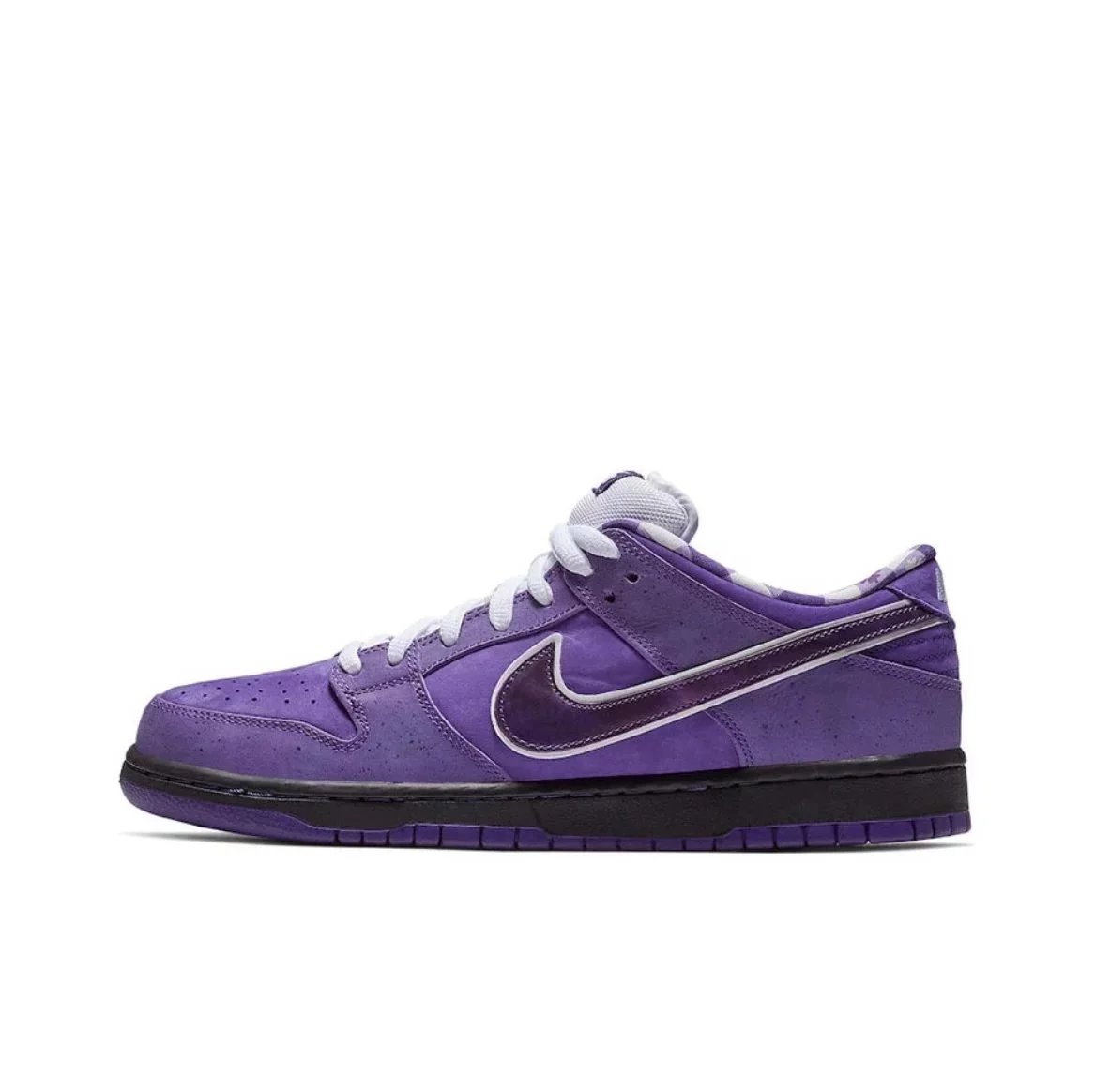 Purple lobster