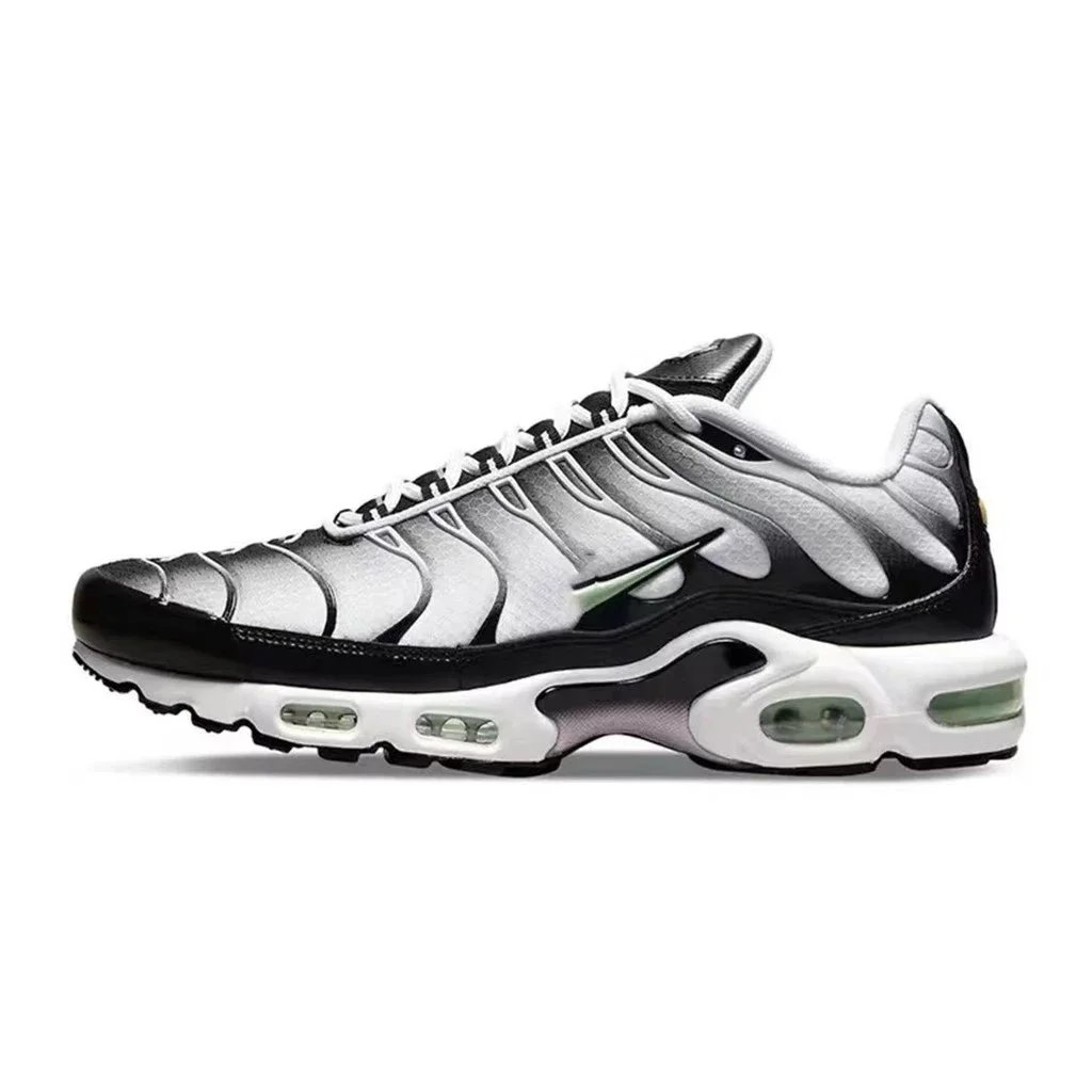 tn 12