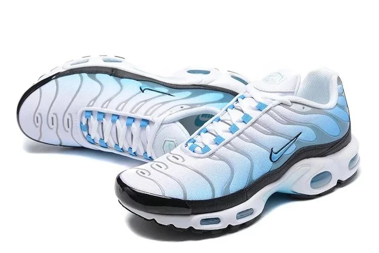 TN white and blue