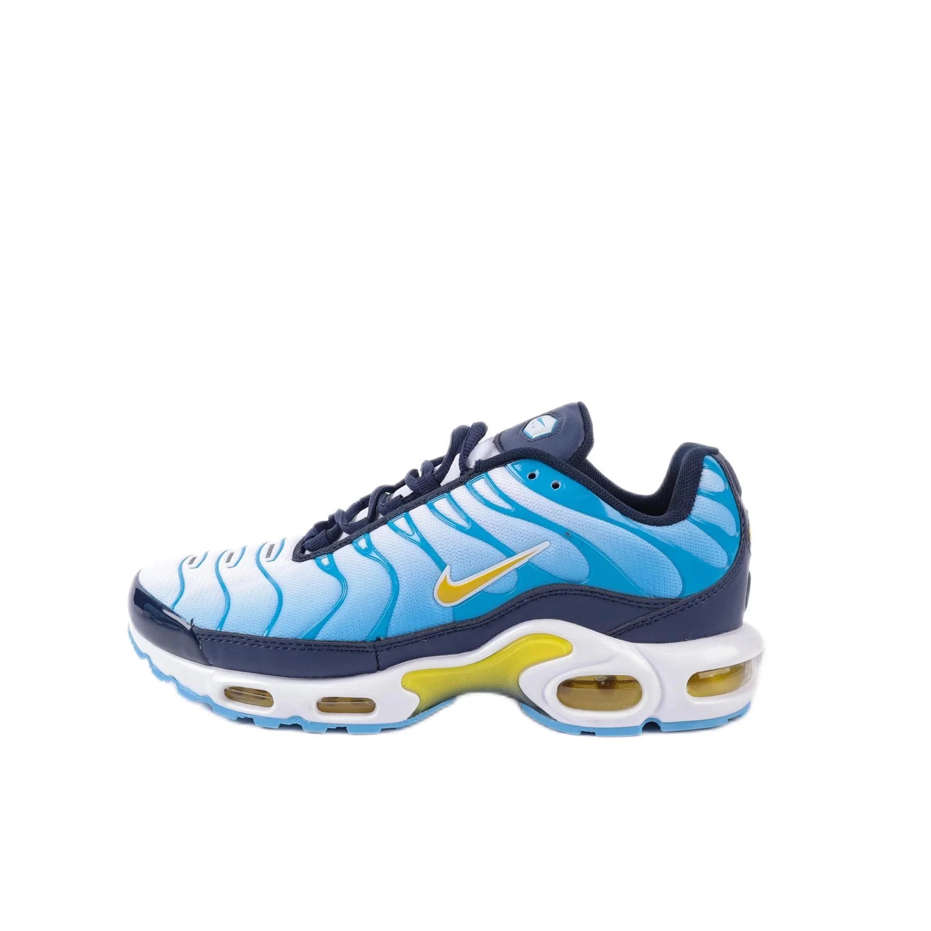 tn blue yellow