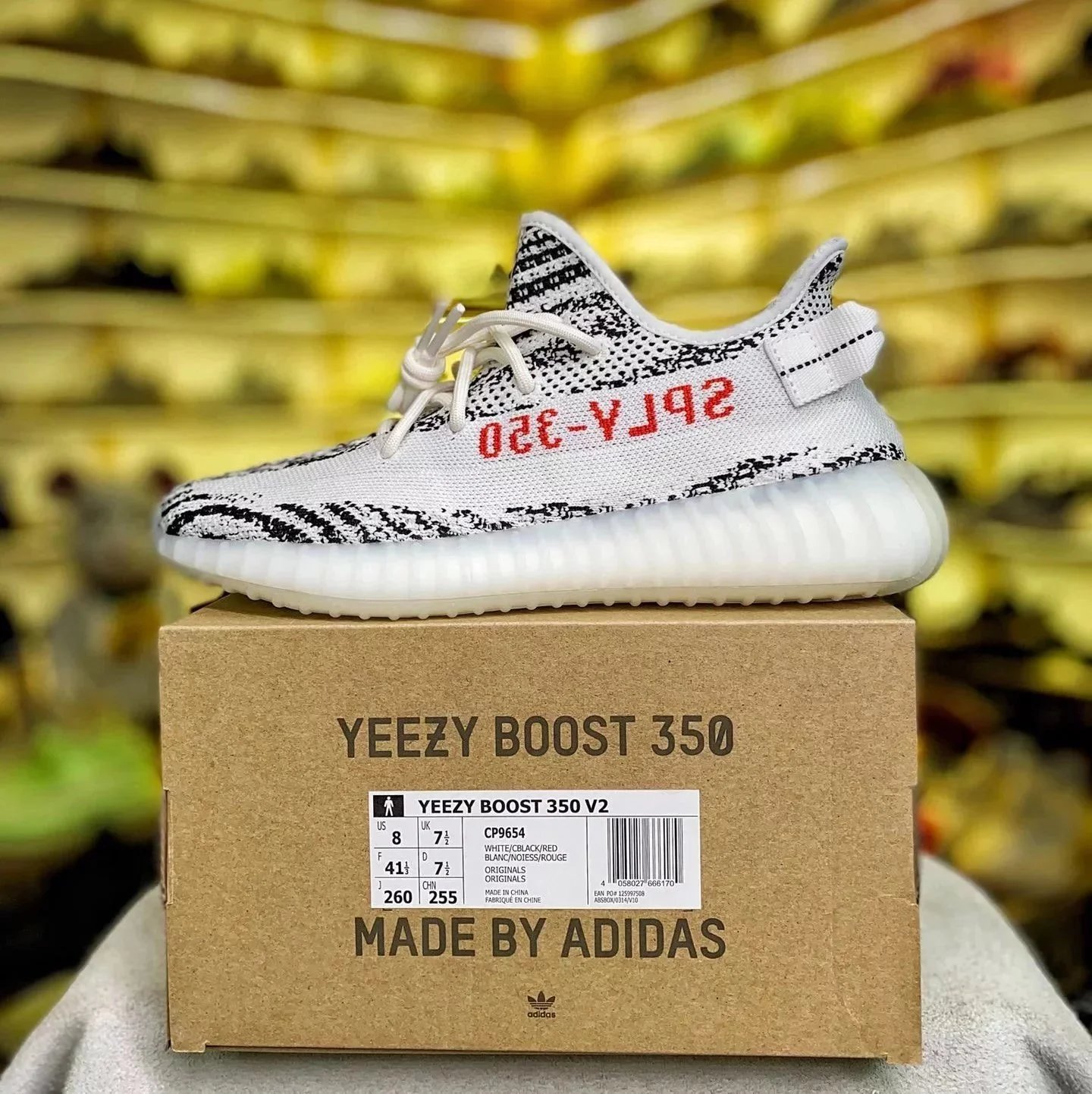 CP9654 White-spotted Zebra