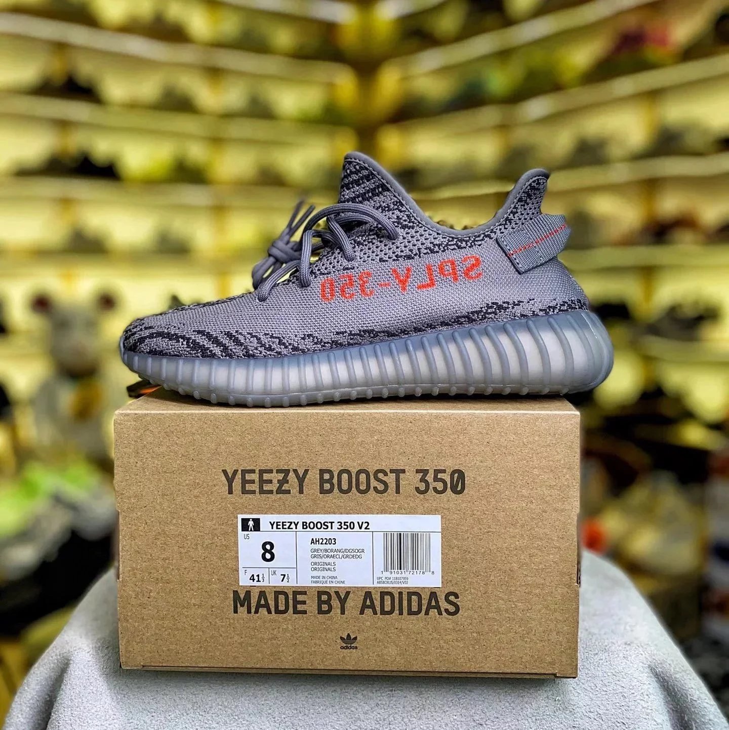 AH2203 Gray Zebra