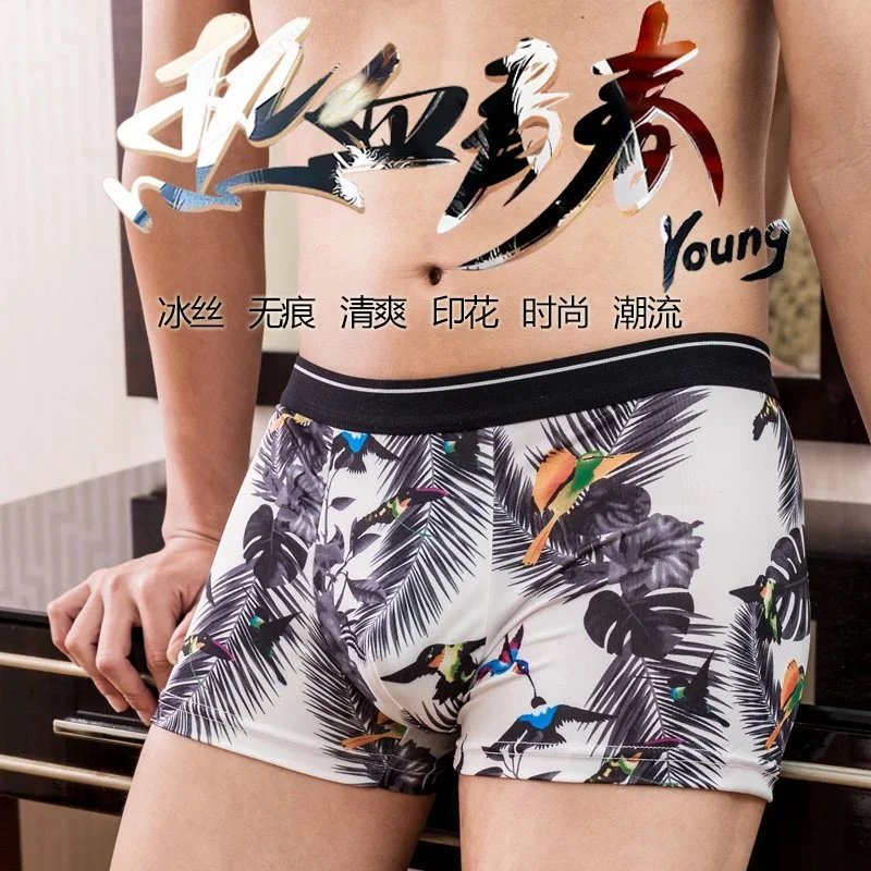 黑叶蜂鸟