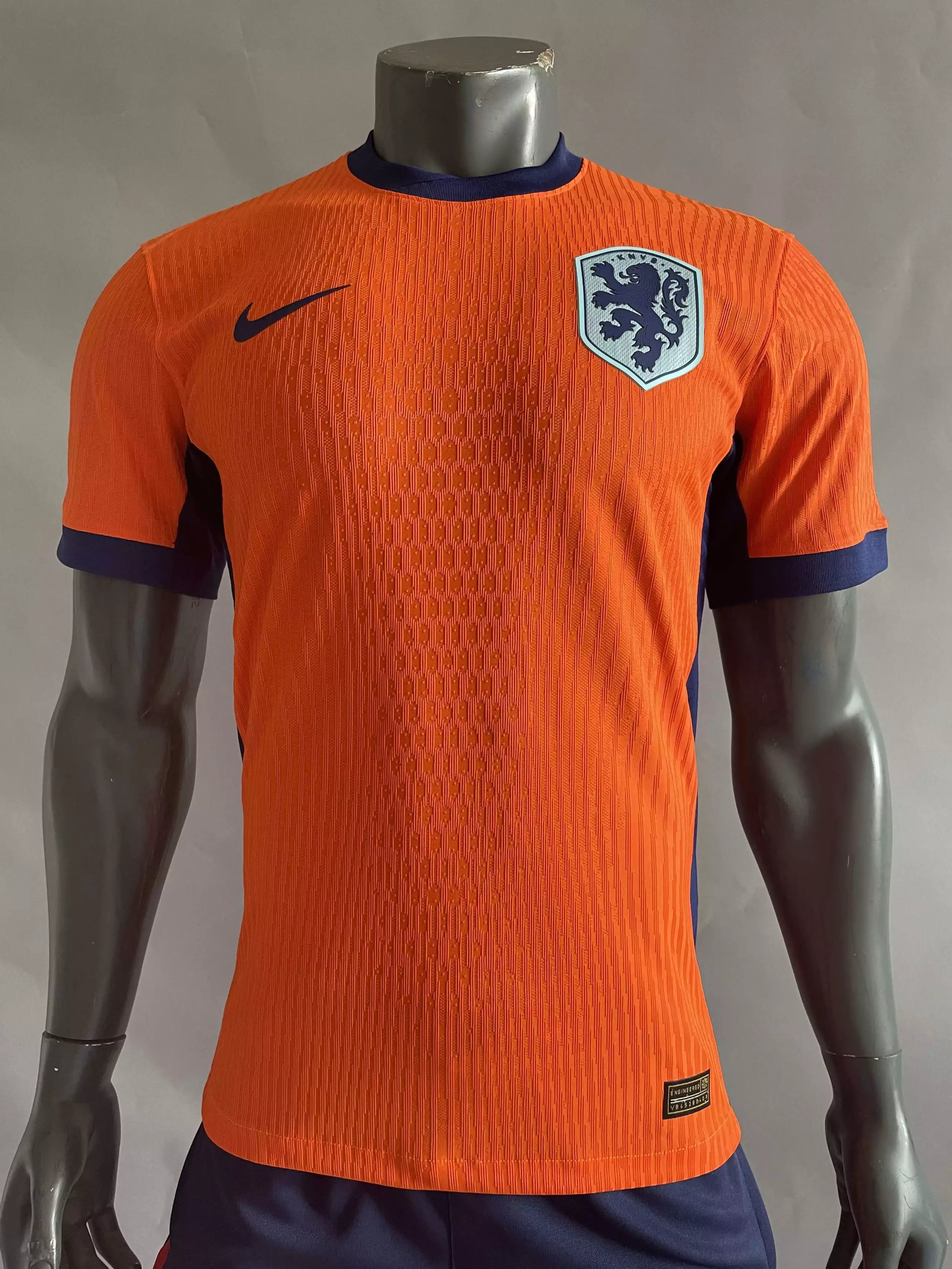 12 Netherlands at home
