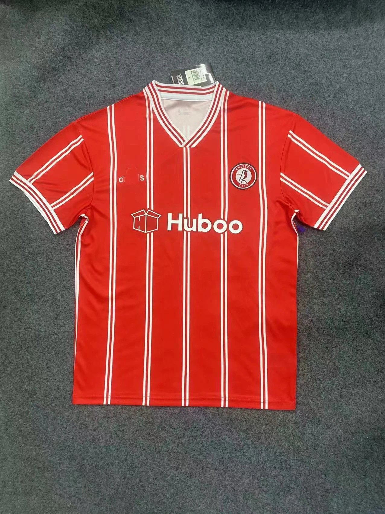 Bristol City 2324