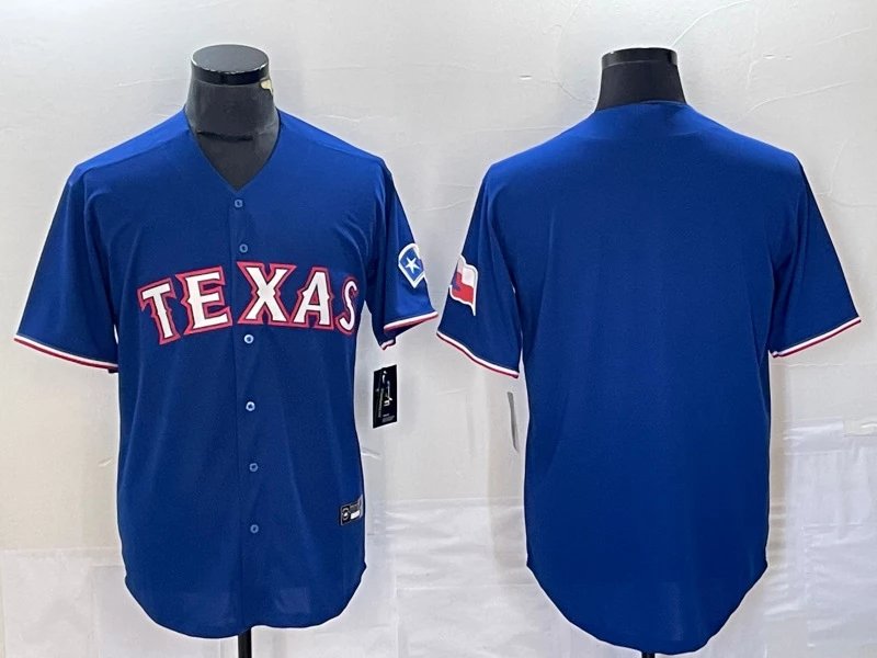 Rangers fans pure dark blue