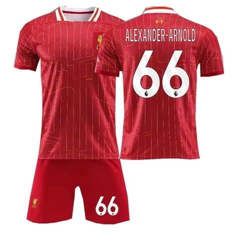 Dark Red 66