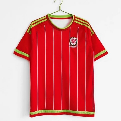 2015-16 Wales’ home ground