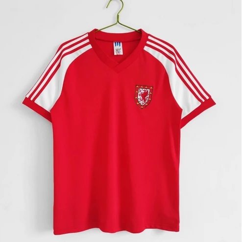 1982 Wales’ home ground