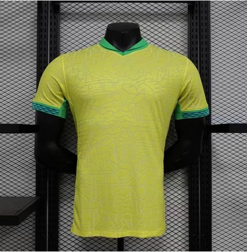 24-25 Brazil home