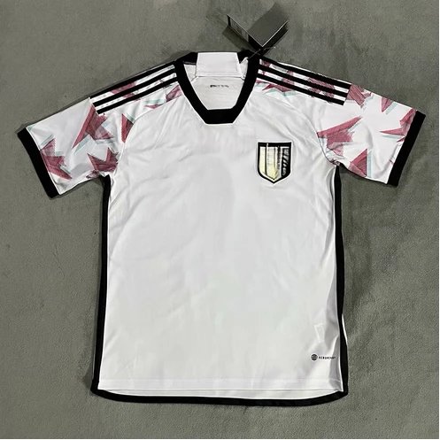 22 Japan away game