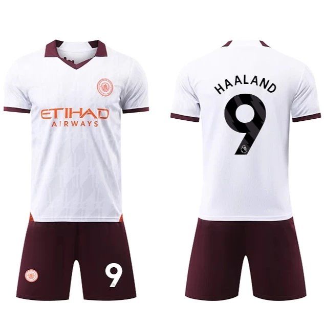 04 Haaland