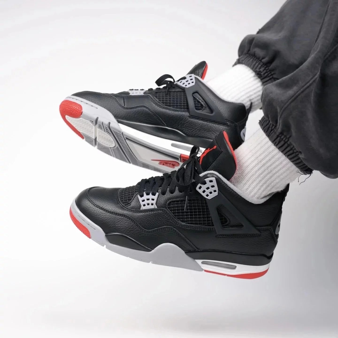 Updated 2024 Bred Reimagined