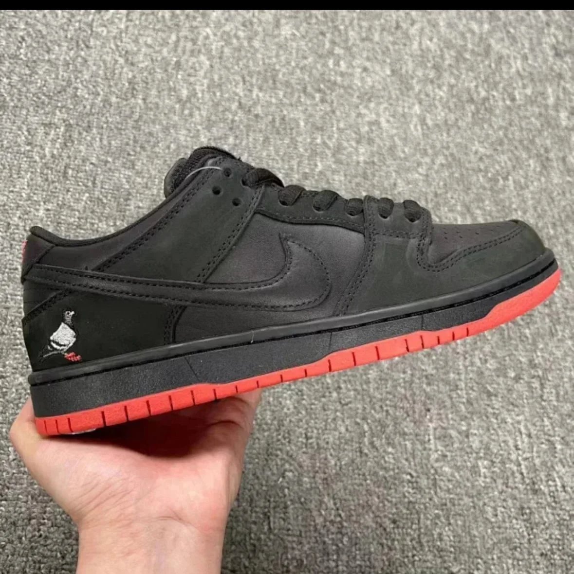 Black pigeon