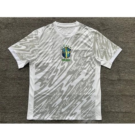 2425 brazilian gray