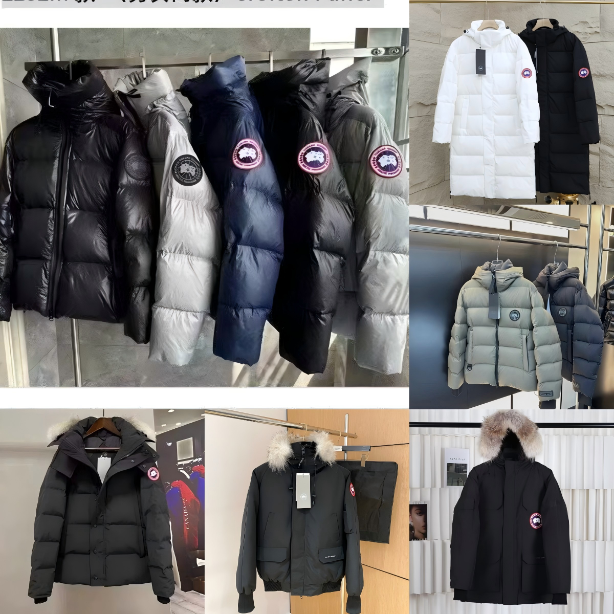 Canada Goose Puffer and Parka Warm Winter Jackets Multicolor