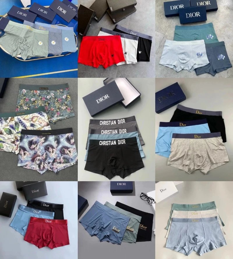 Dior Boxer Briefs Cotton Underwear Multicolor