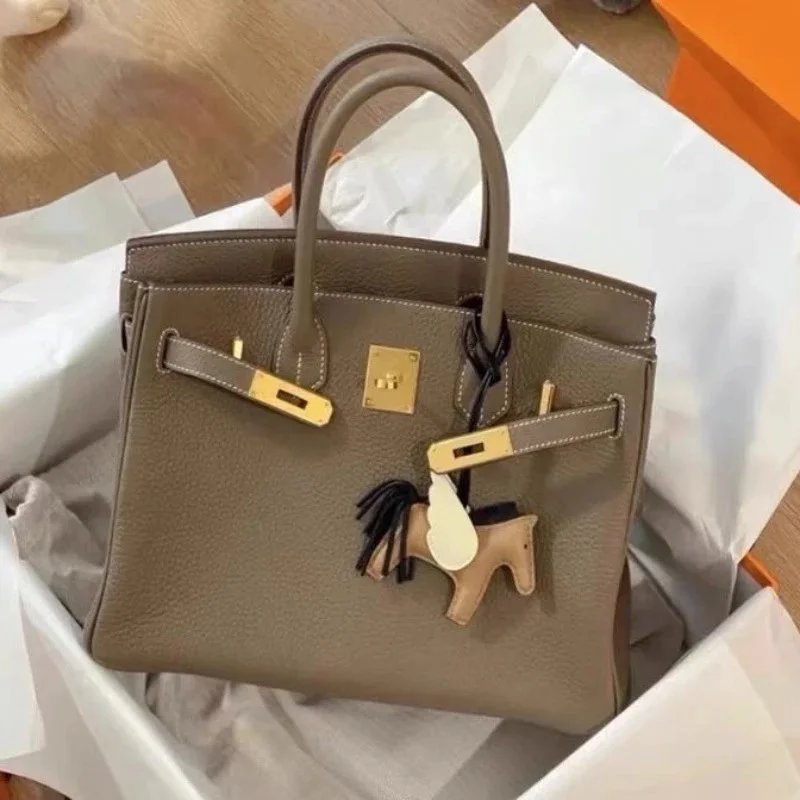 Hermes Birkin 25 Iconic Leather Handbag Taupe