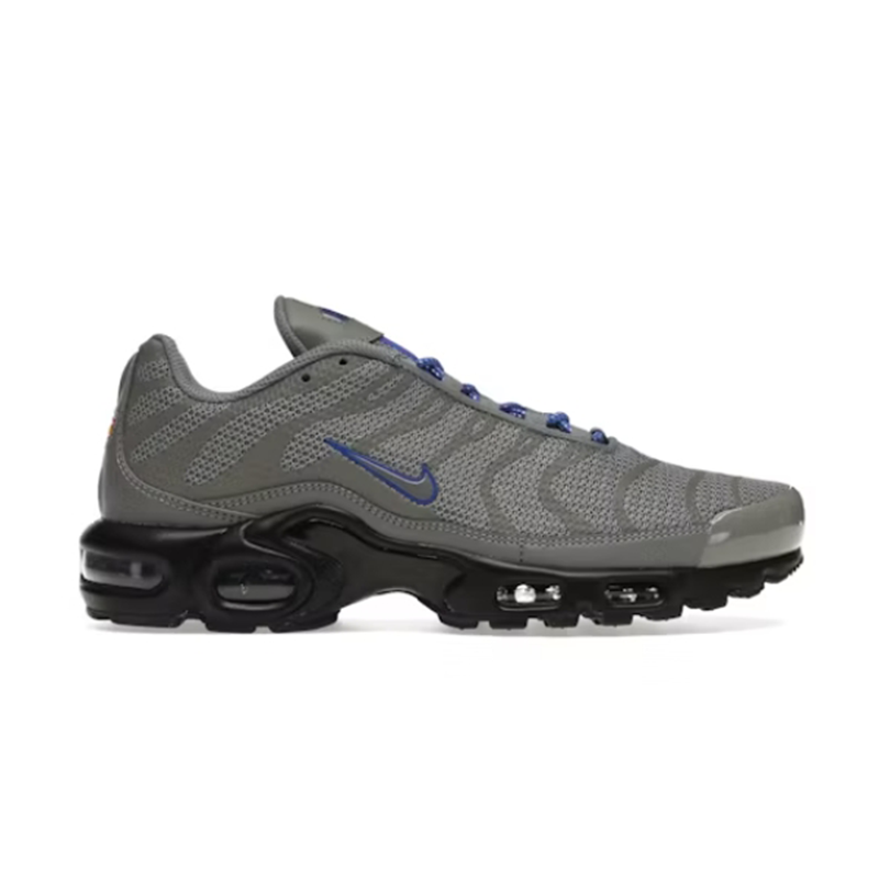 Nike Air Max Plus Chunky Sneakers Gray and Blue